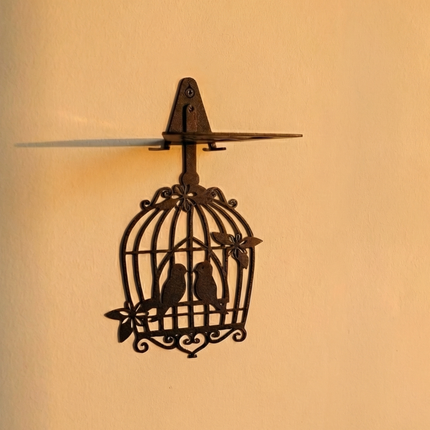 Birdcage Metal Invisible Bookshelf with Decorative Wall Mount - Metaloslav 